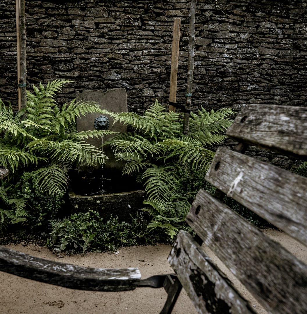 Shade garden with a bench, water feature, fern planting and trees