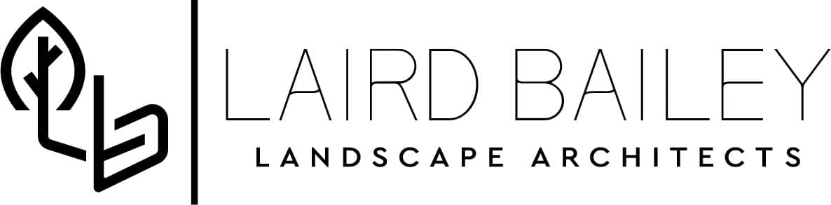 Avada Agency