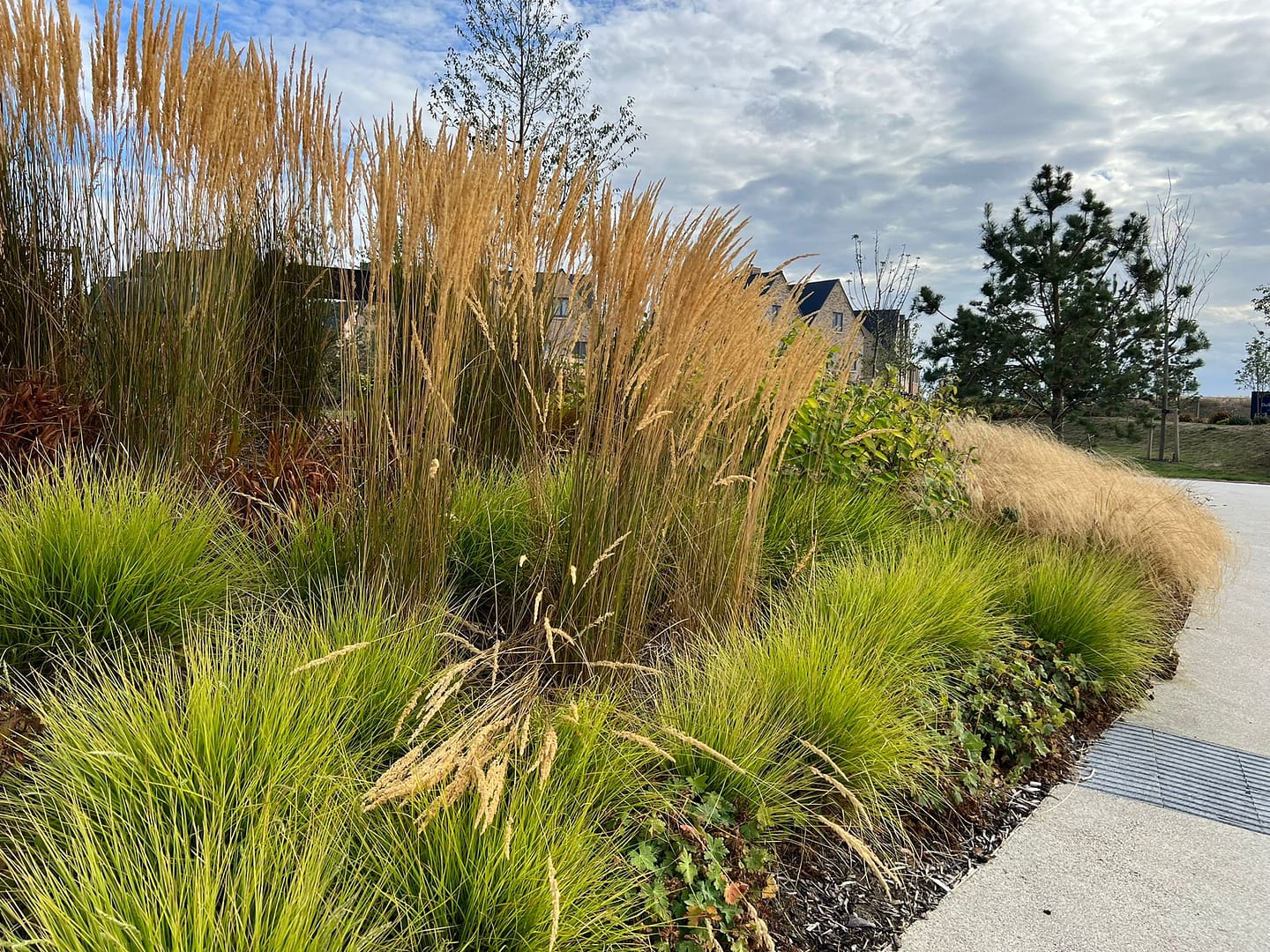 Grass Planting Design