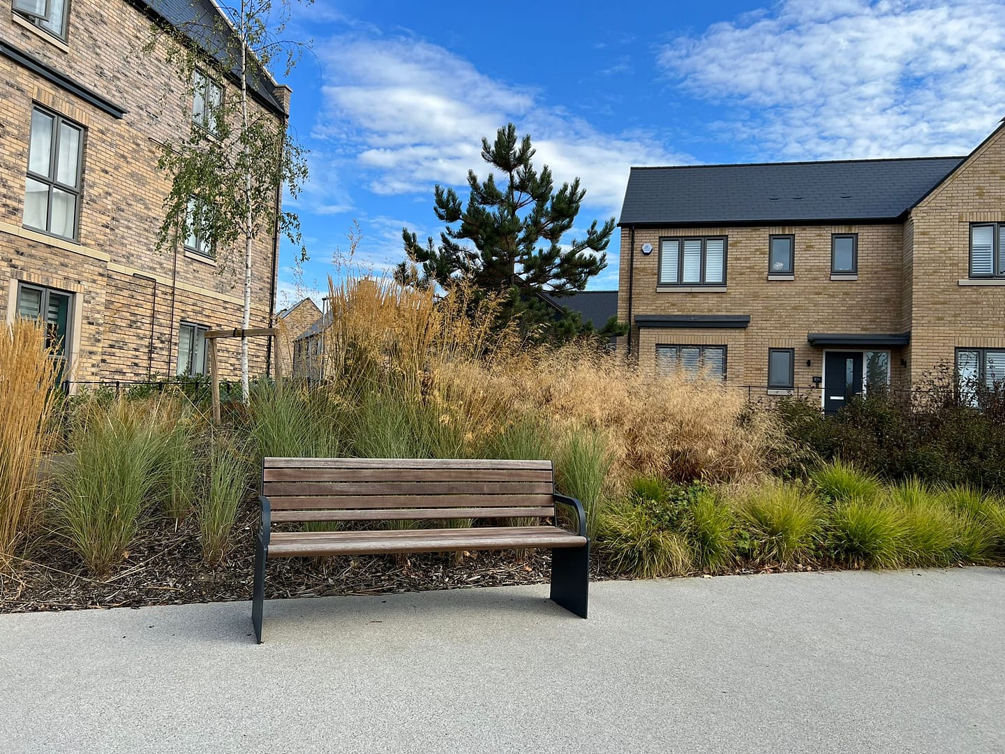 Landscape park design bench with grass planting in residential devlopment