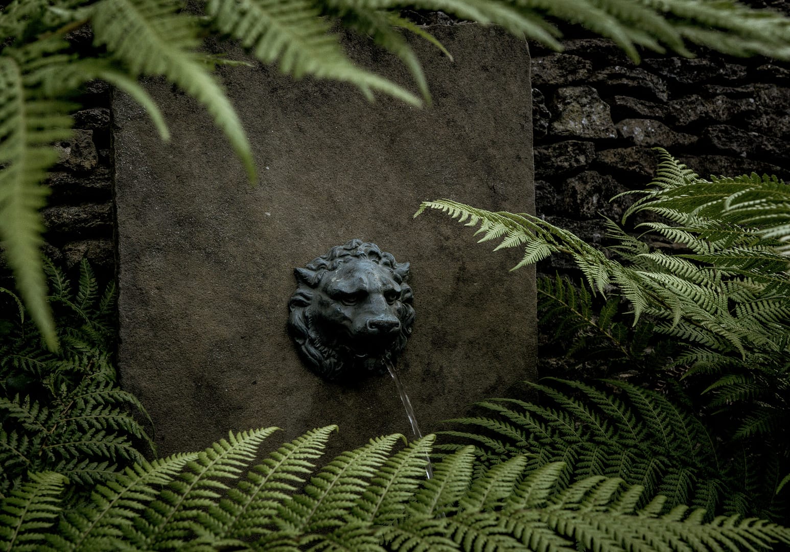 lion head water feature set amongst ferns in shade garden