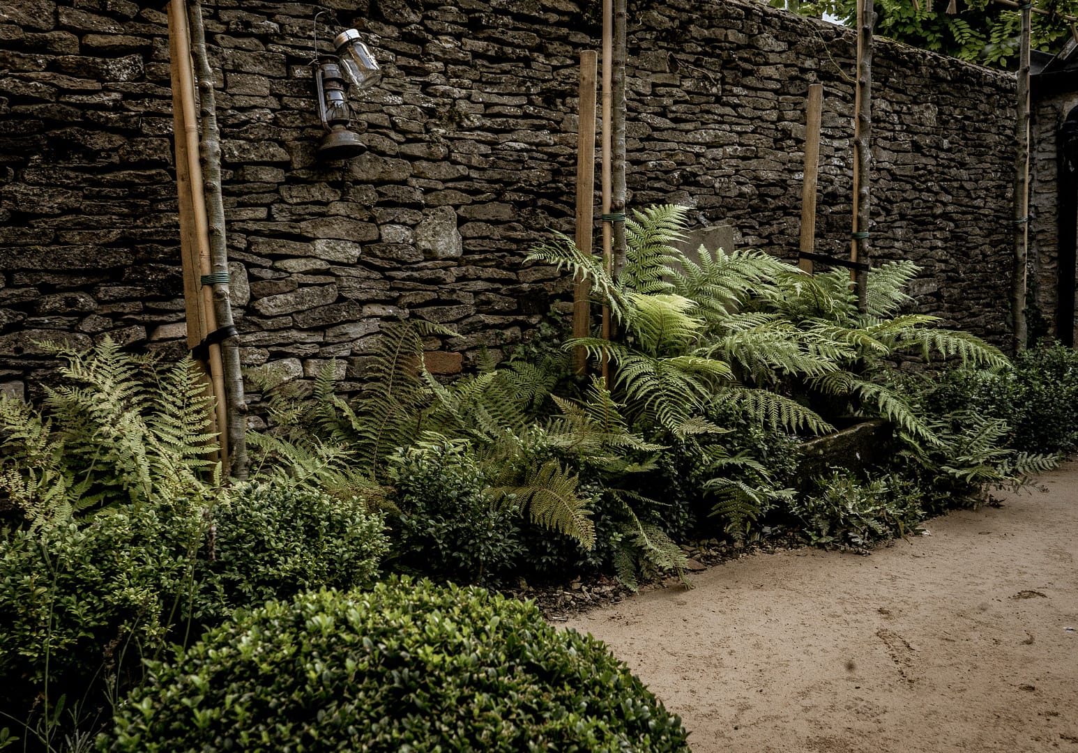 shade garden design with buxus balls, ferns, trees and drystone traditional wall