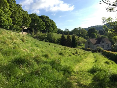 Slad Valley Meadow